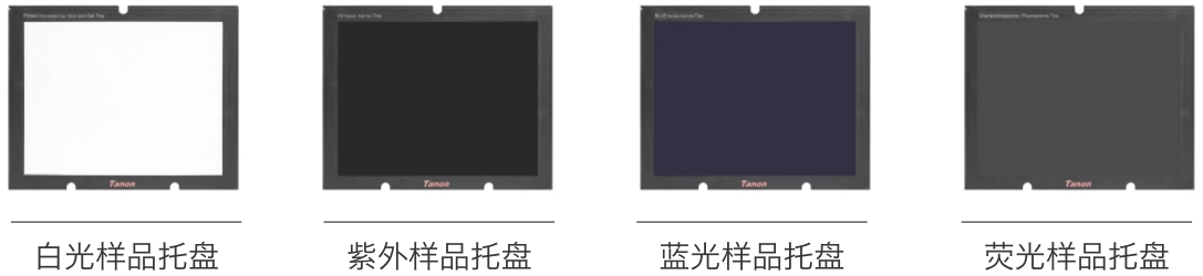 ƷбP.png